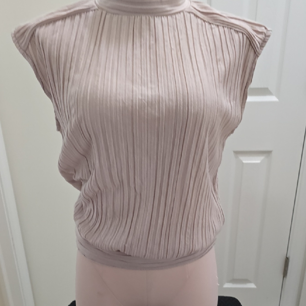 Ann Taylor Factory Blush Pleated Blouse